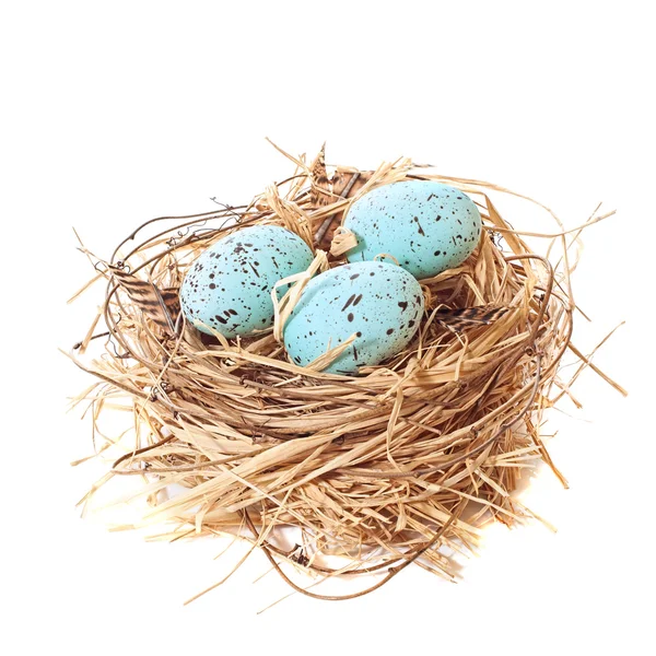 Гнездо пасхальных яиц — стоковое фото