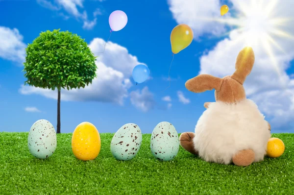The Easter Bunny — Stock Photo, Image
