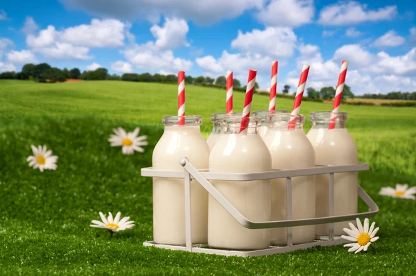 Молоко в деревне — стоковое фото