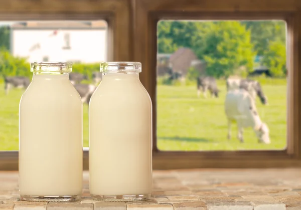 两瓶牛奶 — 图库照片