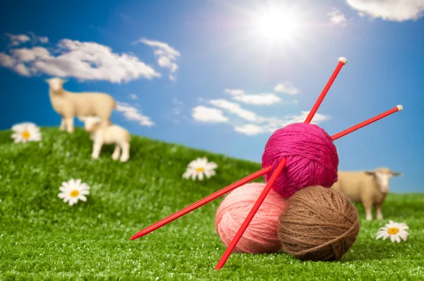 Fils à tricoter avec moutons — Photo
