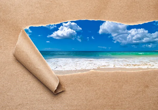 Summer Beach Revealed — Stock Photo, Image