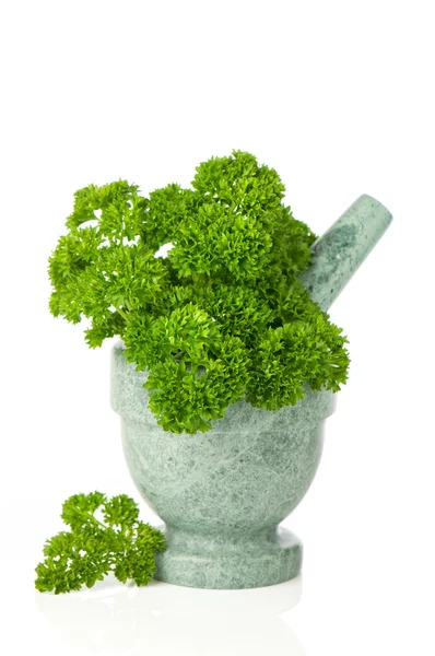 Parsley Herb In Mortar With Pestle — Stock Photo, Image