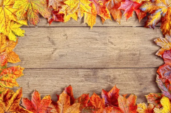 Herfst blad-rand — Stockfoto