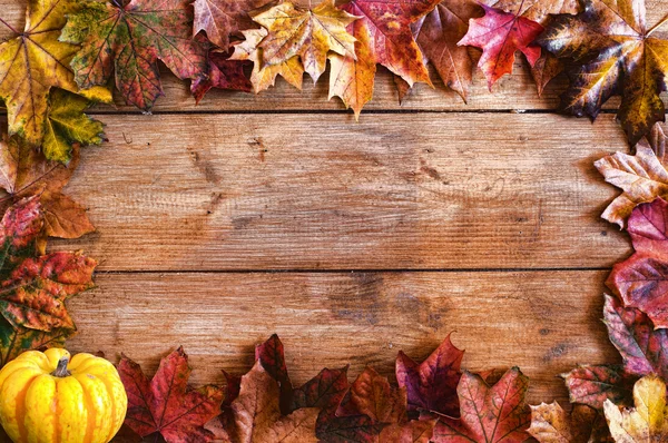Autumn Leaves Frame — Stock Photo, Image