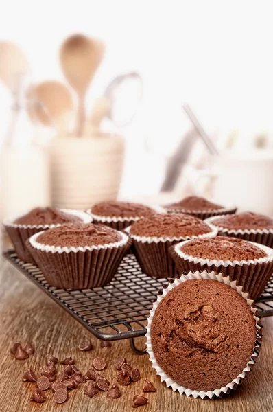Csokis Muffin — Stock Fotó