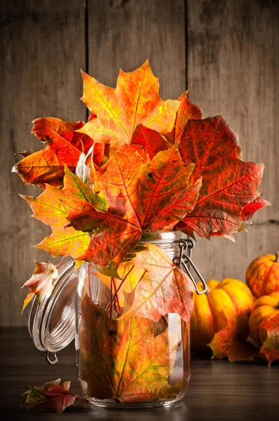 El otoño deja bodegón — Foto de Stock