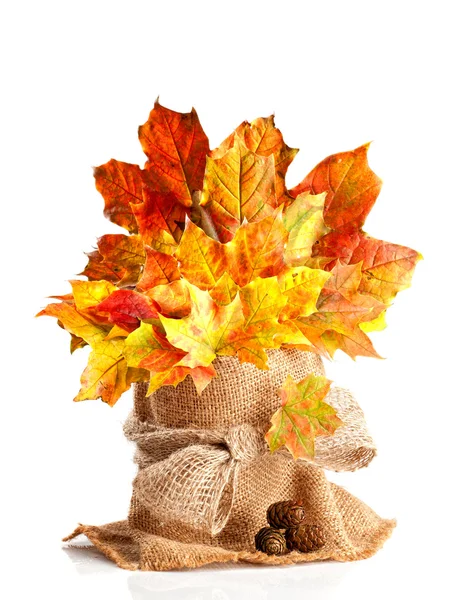 Fall Leaves Still Life — Stock Photo, Image