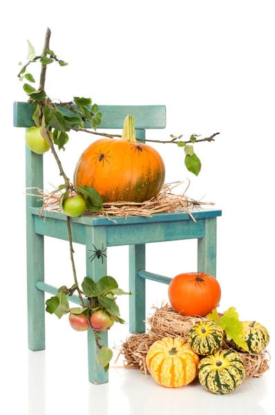 Halloween Pumpkin Chair With Spiders — Stock Photo, Image