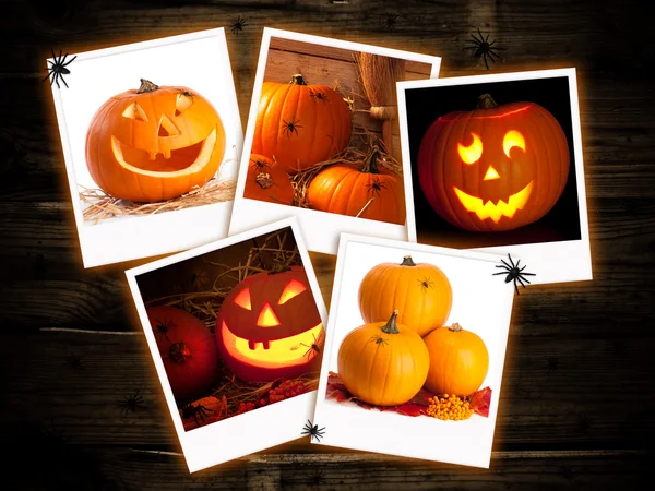 Halloween pumpa bilder — Stockfoto