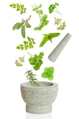 Pestle & Mortar clipart