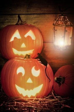Halloween kabaklar