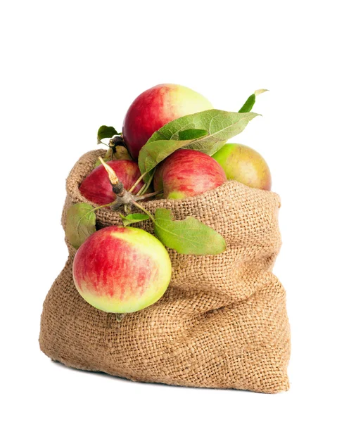 Sack voller Äpfel — Stockfoto