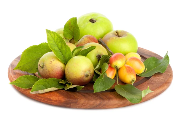 Manzanas de huerto — Foto de Stock