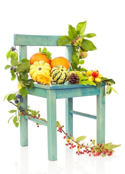 Sonbahar natürmort sandalye — Stok fotoğraf