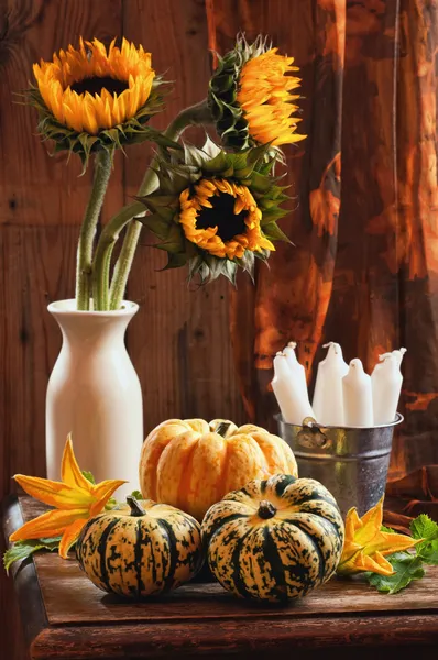 Sonnenblumen & Kürbisstillleben — Stockfoto