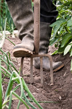 Gardening clipart