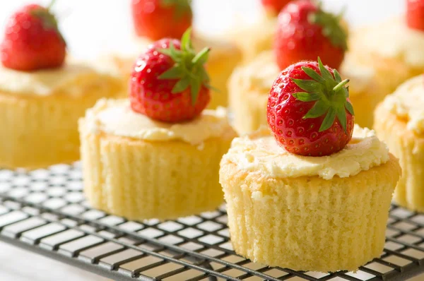 Strawberry Cupcakes — Stock Photo, Image
