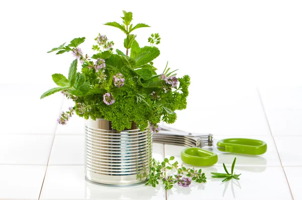 Świeże zioła ogrodowe — Zdjęcie stockowe