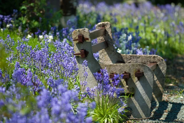 Rustic Bench — Stock Photo, Image