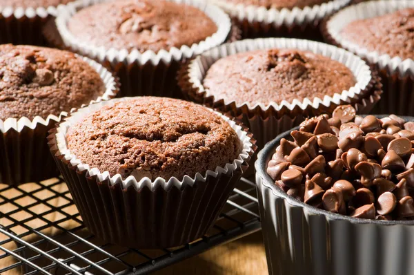 Muffin con gocce di cioccolato — Foto Stock