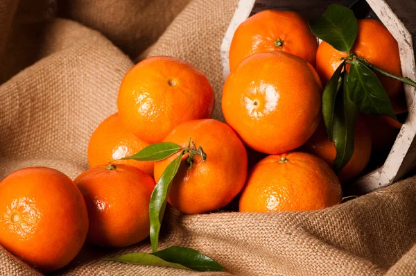 stock image Clementine Still Life