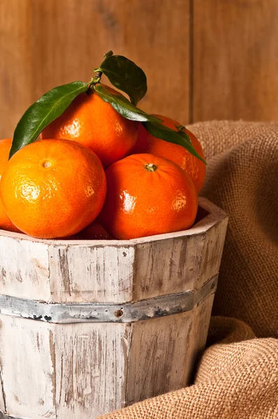 Clementine plodin — Stock fotografie