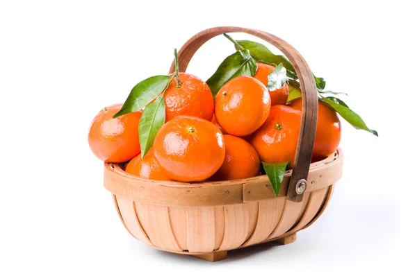 Clementine Trug — Stock Photo, Image