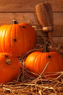 Pumpkins Crawling With Spiders clipart