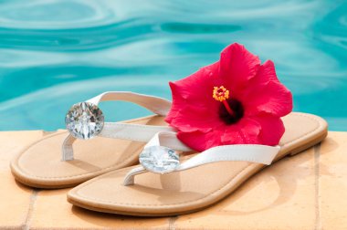 Summer Flip Flops clipart