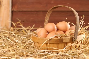 Eggs In The Barn clipart