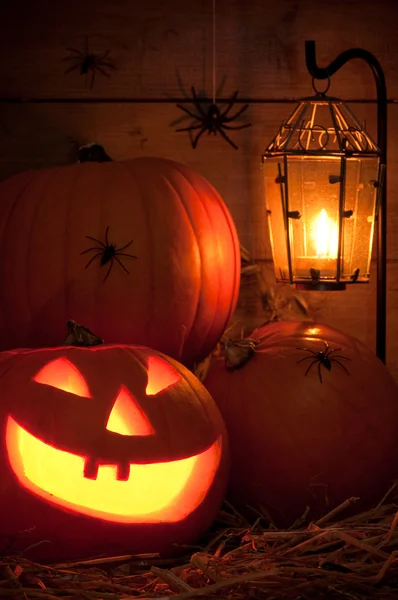 Halloween jack o latarnie — Zdjęcie stockowe
