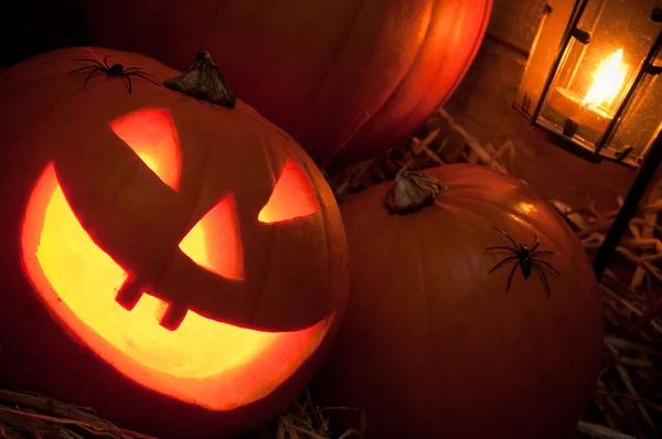 Stock image Glowing Jack O Lanterns