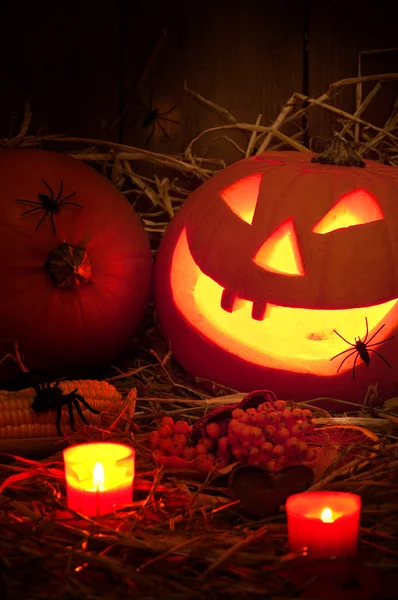 Halloween assustador — Fotografia de Stock