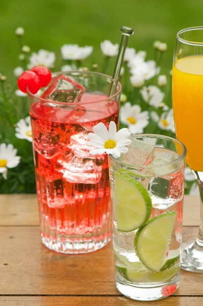Summer Drinks — Stock Photo, Image