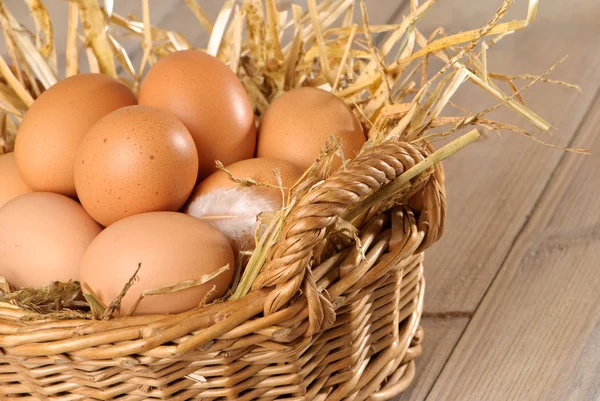 Koppling av fläckig ägg — Stockfoto