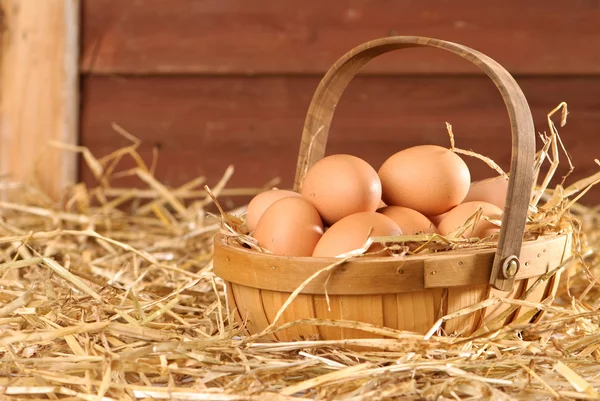 Huevos en el granero —  Fotos de Stock
