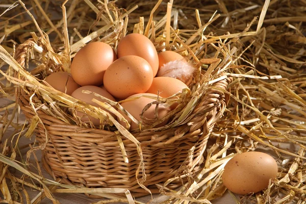 Корзина с яйцами Стоковое Фото