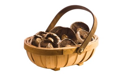 Mushroom Trug clipart