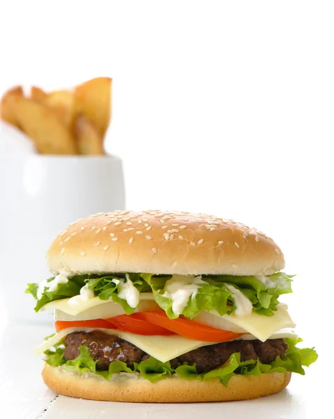 Burger & Fries — Stock Photo, Image