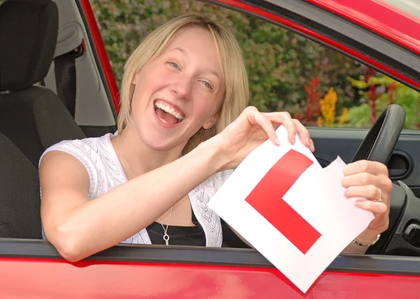 stock image Passed The Driving Test