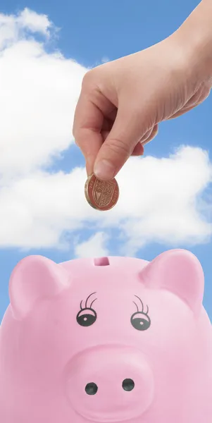 Pig Money Box — Stock Photo, Image