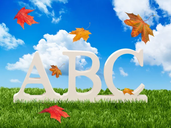 ABC harfleri ile sonbahar yaprakları — Stok fotoğraf