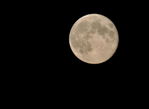 stock image Full Moon