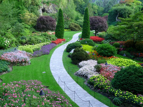 Hermoso jardín — Foto de Stock