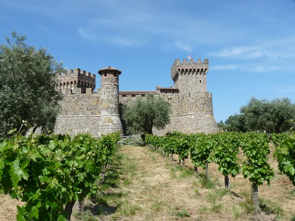 Castillo en los viñedos —  Fotos de Stock