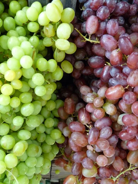Uvas verdes y moradas — Foto de Stock