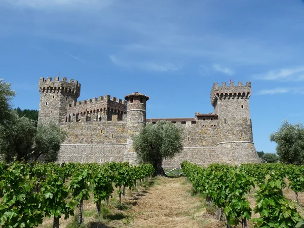 Slottet i vingårdarna Stockfoto