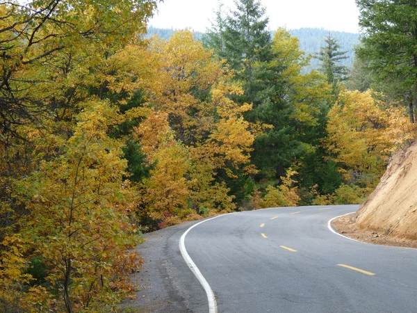 Schöne Herbstfahrt — Stockfoto