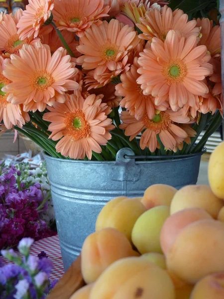 Pink flowers and fruit — Stock Photo, Image